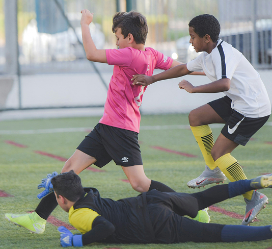 Physical education and movement